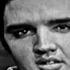 Elvis Presley Too Much On The Ed Sullivan Show