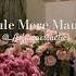 A Different Nostalgia Maule Songs Viralvideo 789 Lyrics