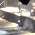 Rammstein LIVE At The Garden Dec 11th 2010 Du Hast HD