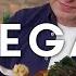 7 Vegan Recipes To Make At Home By Jamie Oliver