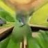 FAST BACKWARDS REV FISHEYE Gummibär REQ VIDOE Russian Gummy Bear Song