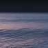 Lia Moon La Luna Happy Birthday