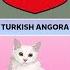 Cat Breeds From Different Countries