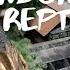 Inside One Of Indonesia S Largest Reptile Farms Rare Snakes Exclusive Access