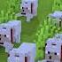 Evolution Of Skeleton Dogs Minecraft Animation