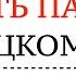 ПАДЕЖИ в немецком языке ПРЕДЛОГИ ВОПРОСЫ для Аккузатив и Датив WEN WEM Полный курс Сложности