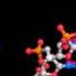 DNA Major And Minor Grooves