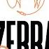 DJ ZEBRA TECHNO HOUSE Sesssion 3