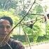 TESTIMONI SUARA PIKAT BURUNG KECIL YANG BIKIN BURUNG KEBON PADA KEPO