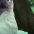 Danita Season 15 2014 Aardvark Danita Memes Danitathegirlatomicpink Funny Textherobot