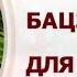 АСТРОПРОГНОЗ 2025 Прогноз по Бацзы для элемента Металл Ян и Металл Инь