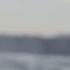 God S Love Poured Out The Wild Goose Segment 1