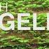 A DAY WITH EVANGELIA