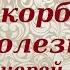 Не отчаиваться в скорбях и болезнях Протоиерей Андрей Ткачев