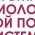 Анатомия и физиология женской половой системы обзорно