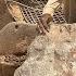 Big Rock Crusher Machine A Giant In Action Big Rock Crushing A Powerful Process Stonecrusher