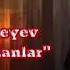 Elcan Mirzeyev Qurbetde Olanlar Official Music Video