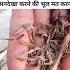 अनद ख न कर प त र Vishnu Vishnumantra Vishnupurana
