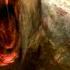 Gladiator II 2024 Rabid Monkeys Attack Scene Movieclips