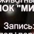 Манок Микро 1 на 1 голос перепела Naprirode Com Ua