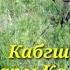 КАБГШИКОР ДАРАИ КАМАРОБ ҒАРМ 24 05 2022