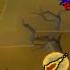 WE GOT THIS IN LESS THAN 6 HOURS DMM ALL STARS 2 01