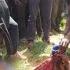 Suspected Herdsmen Slaughter Pregnant Woman Children Others In Plateau State Raze 23 Houses