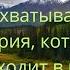 Это захватывающая история которая происходит в глухой тайге