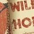 The Rolling Stones Wild Horses Acoustic Lyric Video