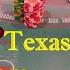 I Hit QUADS Playing Ultimate Texas Hold Em At The Casino