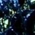 TOOL AENIMA LIVE New Jersey 1997