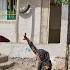 Living On The Brink How A Father S Debt Threatened A Family S Security