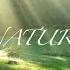 Nature Wake Up Alarm