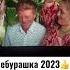 Чебурашка 2023 чебурашка пошперляли фильм2023