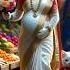Pregnant Cat Gives Birth In Traditional Indian Market Cat Kitten Funny Animals Trending