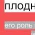 ПЛОДНЫЙ ПУЗЫРЬ его роль в беременность и родах