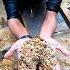 Gemstone Hunting In The Forest Diamond Jade Crystals Gemstones Agate Forest