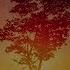Develop A Positive Perspective 25 Minute Guided Meditation Mindful Movement