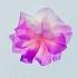 Lauv I Like Me Better Kyron Remix