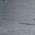 Real Footage Of Moon Landing Apollo 11 Mission July 16 1969 Kannadafactschannel Coorg