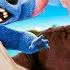 Lilo Stitch In REAL LIFE