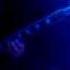 Soul By Afterglow Radio Live At The Haven 8 01 09