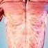 How Long Are Your Nerves