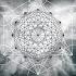 The Violin Effect Radio Edit