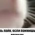 легендарная музыка из детства юмор ностальгия музыка кот хомяк детство