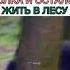 Дорама Принц волков