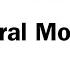 Behavioral Momentum HELLY ENGLISH