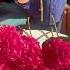 Conditioning Magical Cerise Hydrangeas Crisp Sounds Calm Hands Florist Peace