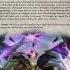 4th Transmutation Contort