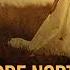 Year Of The Unicorn Audiobook By Andre Norton